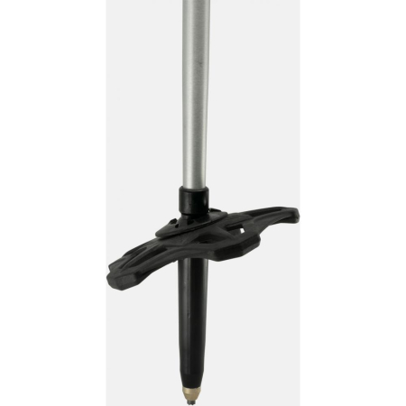 JONES BETE TALON [3]