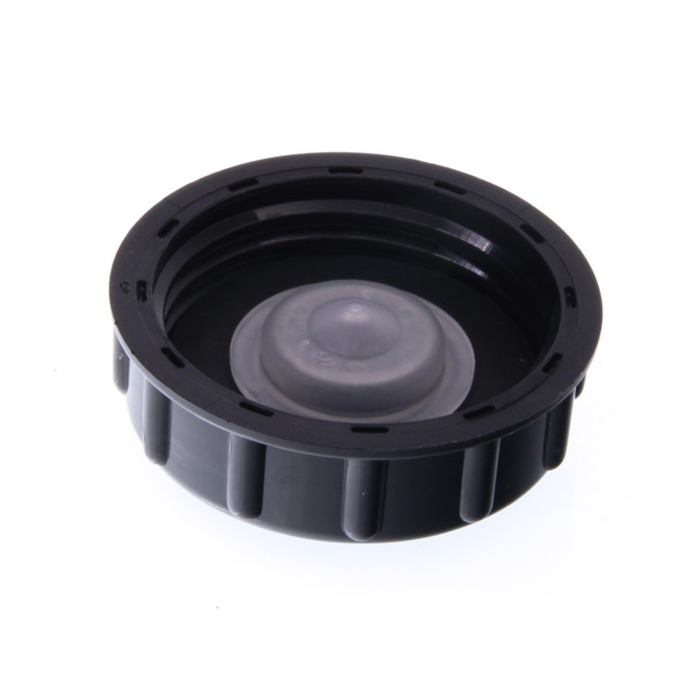 Buson vas expansiune servodirecție Renault 7700816919 pentru Dacia Logan / Sandero [2]