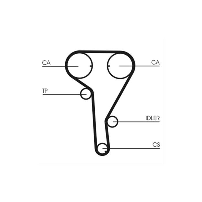 Curea Distribuție DAYCO - Opel Astra G/H/J, Zafira, Insignia (1.6 / 1.8 Benzină) - 146 Dinți [2]