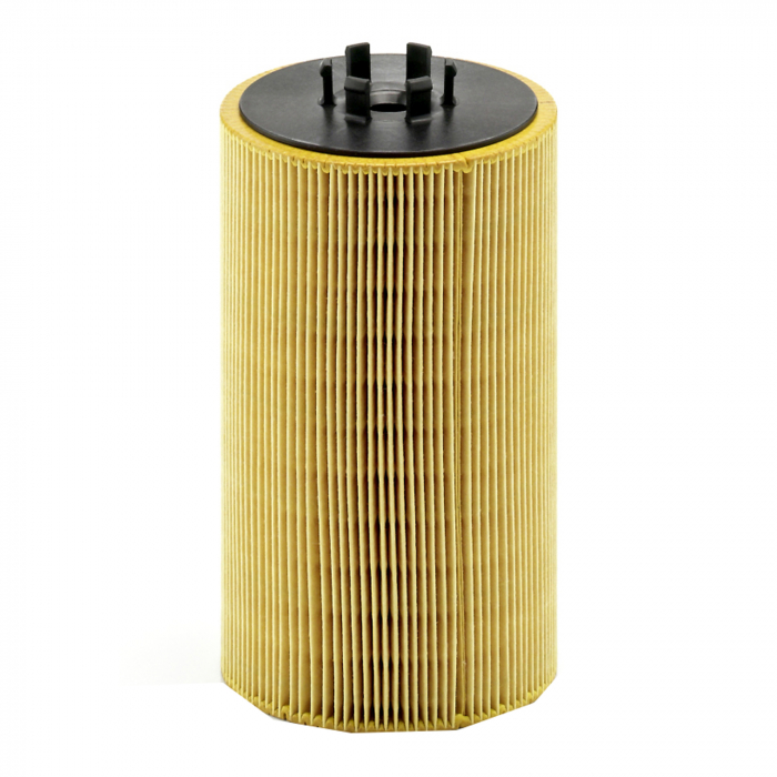 Filtru ulei Mann pentru Bredamenarinibus Vivacy, DEnnis Elite 2, Olympus, Phonix 2