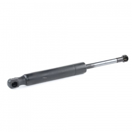 Branduri - Amortizor capota Triscan pentru Renault Latitude