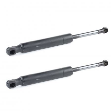 Branduri - Set 2 amortizoare capota Triscan pentru Renault Latitude