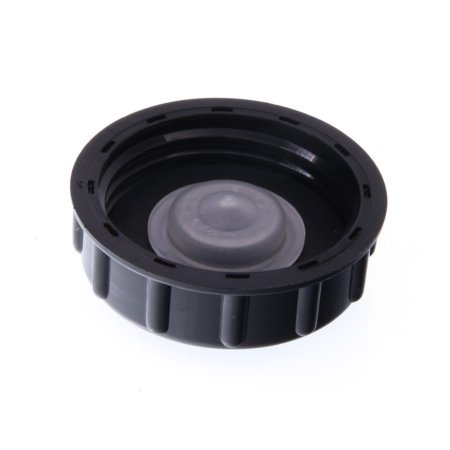 Buson vas expansiune servodirecție Renault 7700816919 pentru Dacia Logan / Sandero [1]