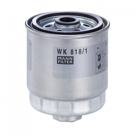 Filtre Combustibil - Filtru combustibil Mann pentru Hyundai Accent II, Getz, Matrix