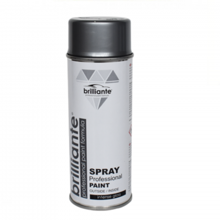 Vopsea Auto - Vopsea Spray Brilliante Argintiu RAL 9006 400 ml