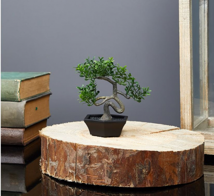 Bonsai decorativ in ghiveci, 11cm [2]