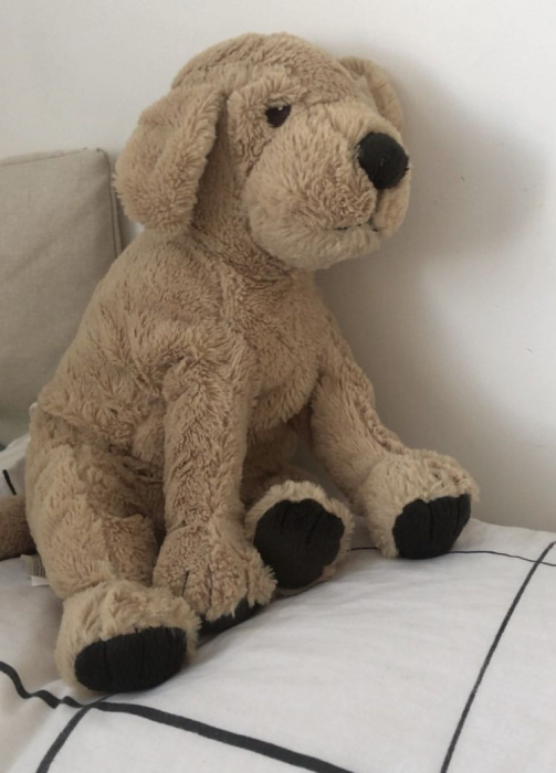 Catelus de plus, golden retriever, 40 cm [2]