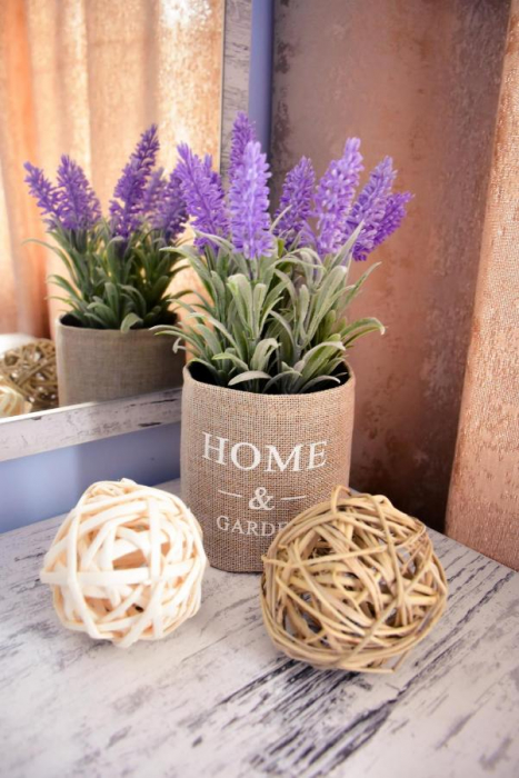 Ghiveci decorativ cu lavanda, 11x25cm [2]