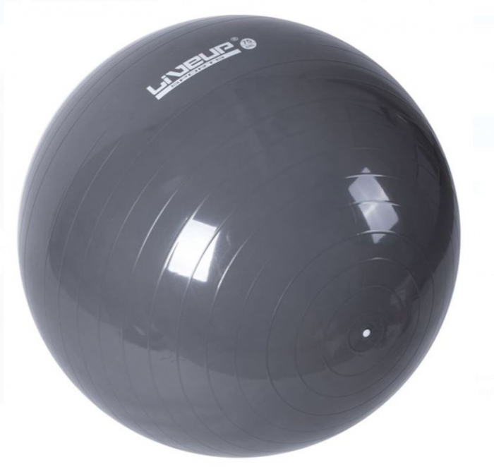 Minge antrenament, gri  , 75 cm [3]