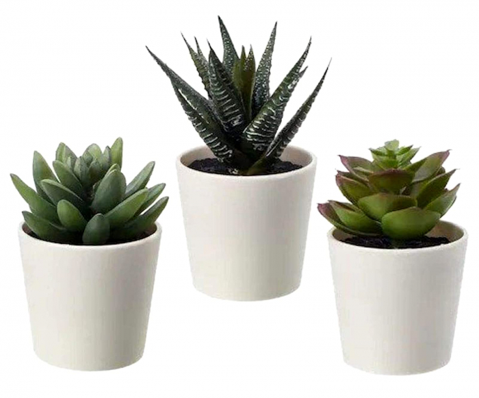 Set 3 plante suculente artificiale in ghiveci alb, 12 cm [2]