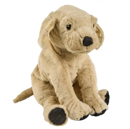 Jucarii de plus - Catelus de plus, golden retriever, 40 cm