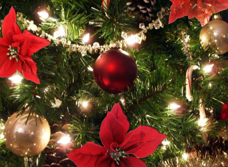 Craciun – Decoratiuni, costume si accesorii festive - Floare catifelata de Craciun cu clips, Craciunita rosie, 23cm