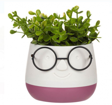 Flori artificiale si decoratiuni - Ghiveci bordo cu ochelari si plante artificiale, 9.5x9.5x14cm