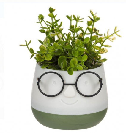 Flori artificiale si decoratiuni - Ghiveci ecru cu ochelari si plante artificiale, 9.5x9.5x14cm