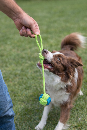 Jucarii animale - Jucarie pentru caini sfoara cu noduri, 40 cm