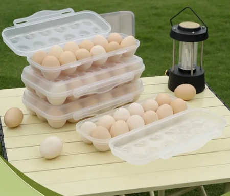 Organizator frigider, pentru 12 oua, 24x10 cm [1]
