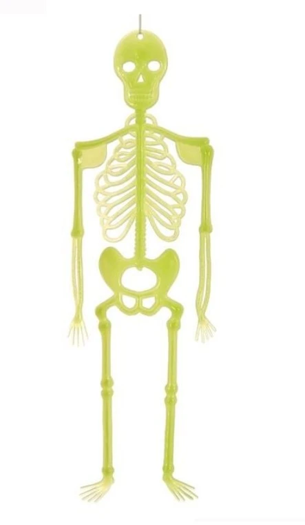 Halloween - Costume si decoratiuni - Schelet ”Glow in the Dark” , Halloween, 31cm