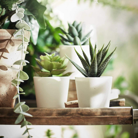 Flori artificiale si decoratiuni - Set 3 plante suculente artificiale in ghiveci alb, 12 cm