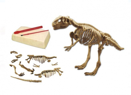 Jocuri si jucarii interactive - Set excavare fosile de dinozaur, + 3 ani