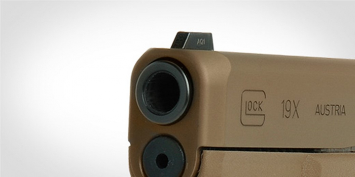 Glock 19X [3]