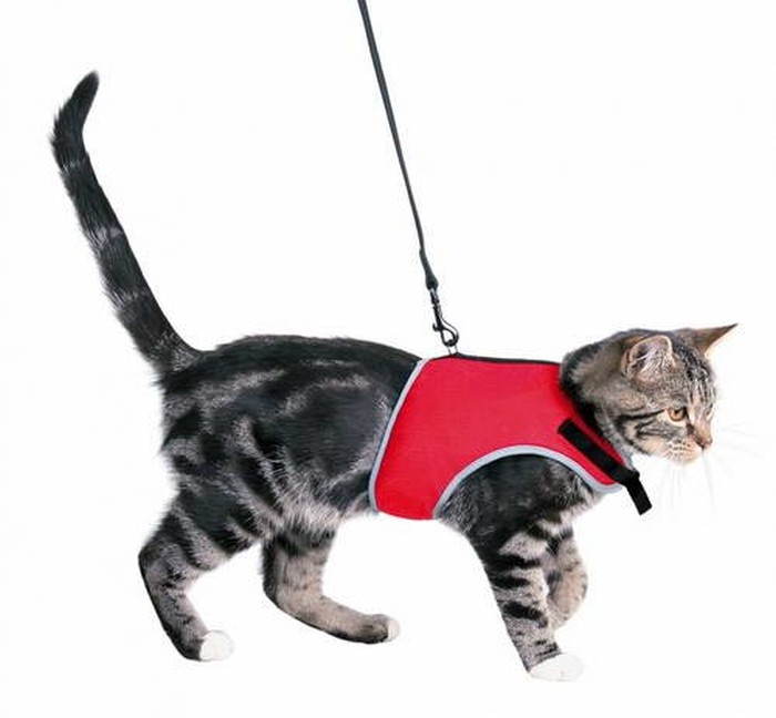 41896 Lesa 1.2 m +Ham 24-42 cm XCAT [2]