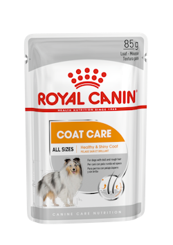 Royal Canin Coat Care Dog Loaf 85 g