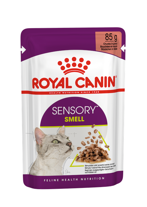 Royal Canin Sensory Smell Gravy Plic 12x85g