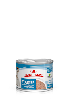 Royal Canin Starter Mousse 195 g