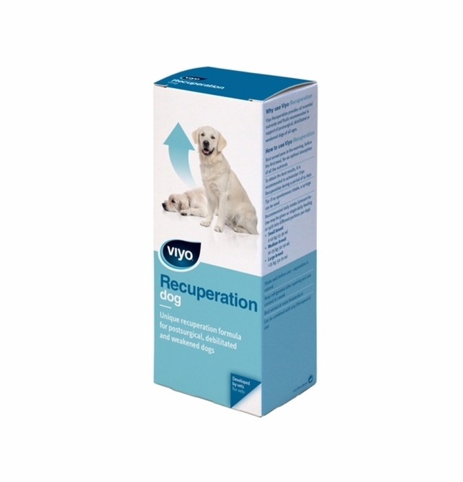 Viyo Recuperation Dog Flacon 150 ml