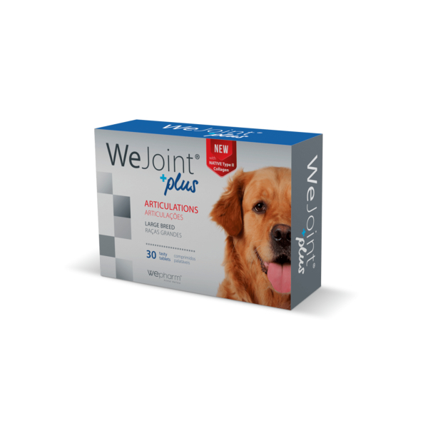 Wejoint Plus rase de talie mare 30 tablete, WePharm