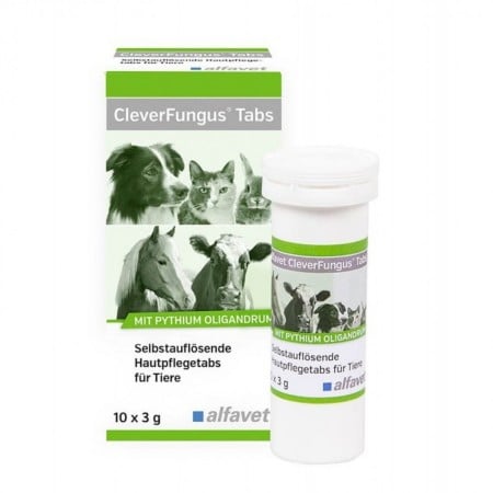 Blana & Piele - Clever Fungus Tablete 10x3 g