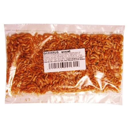 Pesti - Exo Gammarus Plic
