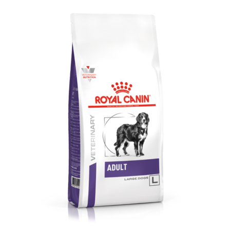 Uscate - Royal Canin Adult Large Dog 4 kg