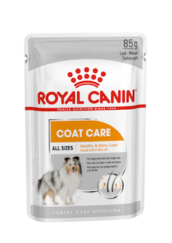 Hrana - Royal Canin Coat Care Dog Loaf 85 g