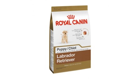 Hrana - Royal Canin Labrador Puppy 1 kg