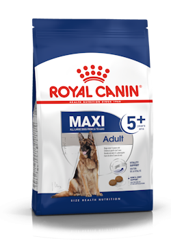 Hrana - Royal Canin Maxi Adult 5+ 15 kg