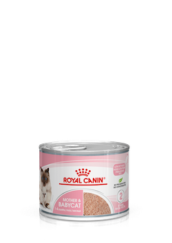 Umeda - Royal Canin Mother & Babycat Conserva 195 g