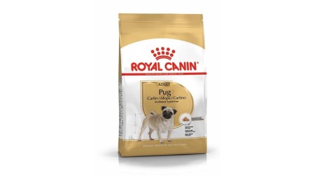Uscata - Royal Canin Pug (Mops) Adult 1.5 kg