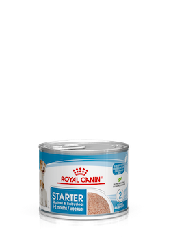 Hrana - Royal Canin Starter Mousse 195 g