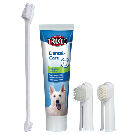 Igiena & Ingrijire - Set Periuta si Crema Dinti 2561