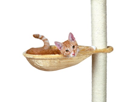 Trixie Sezlong pentru Ansamblu 40 cm Bej 43541 [1]