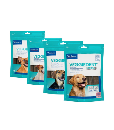 Aparatul digestiv - VeggieDent Fresh - 15 Batoane Igiena Orala - Caini Talie Foarte Mica XS