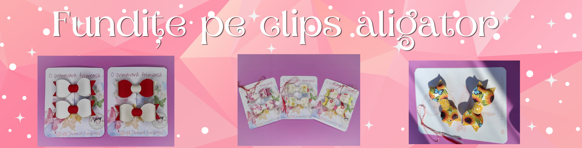 Banner fundițe Aligator