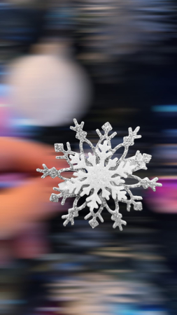 Fulgi de Nea - Fulg de Nea gri