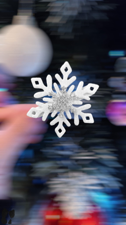 Fulgi de Nea - Fulg de Nea