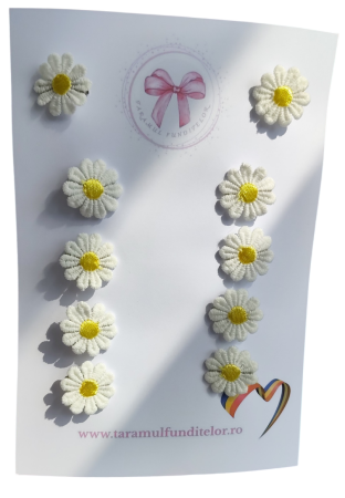Set de 10 clame floricele [1]