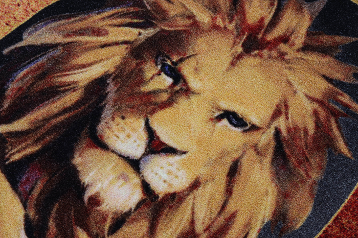 Covor Copii, Aslan, 133x190 cm, 1275 gr/mp [10]