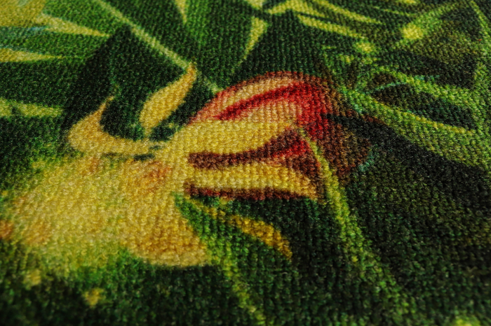 Model Copii, Fairy Song, Covor Dreptunghiular Turcia, Verde [6]