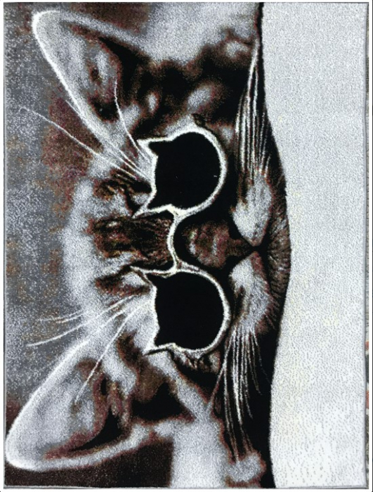 Covor Dreptunghiular Interior, Kolibri 11262/190, Gri [2]
