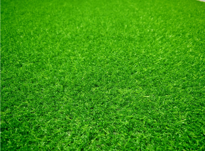Covor Gazon Iarba Artificiala, Gradinita/ Loc de Joaca/Terasa/Curte, Model Leisure Inaltime fir 15 mm, Verde [5]